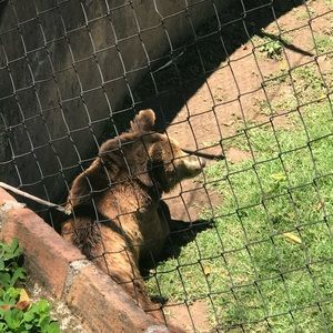 Meet your Posher, Leonardo